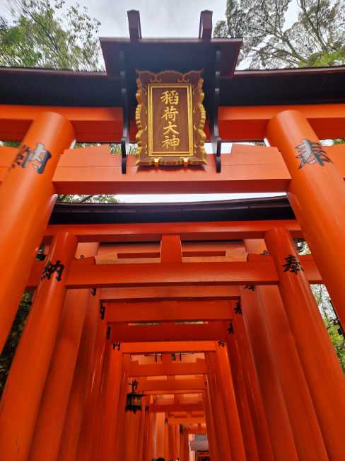 reiki rejse japan 2026 oprindelse tradition justin stein